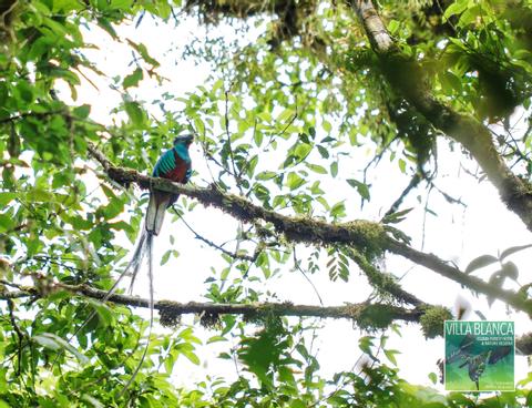 Villa Blanca Hotel & Nature Reserve Costa Rica